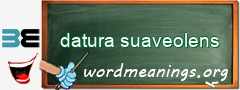 WordMeaning blackboard for datura suaveolens